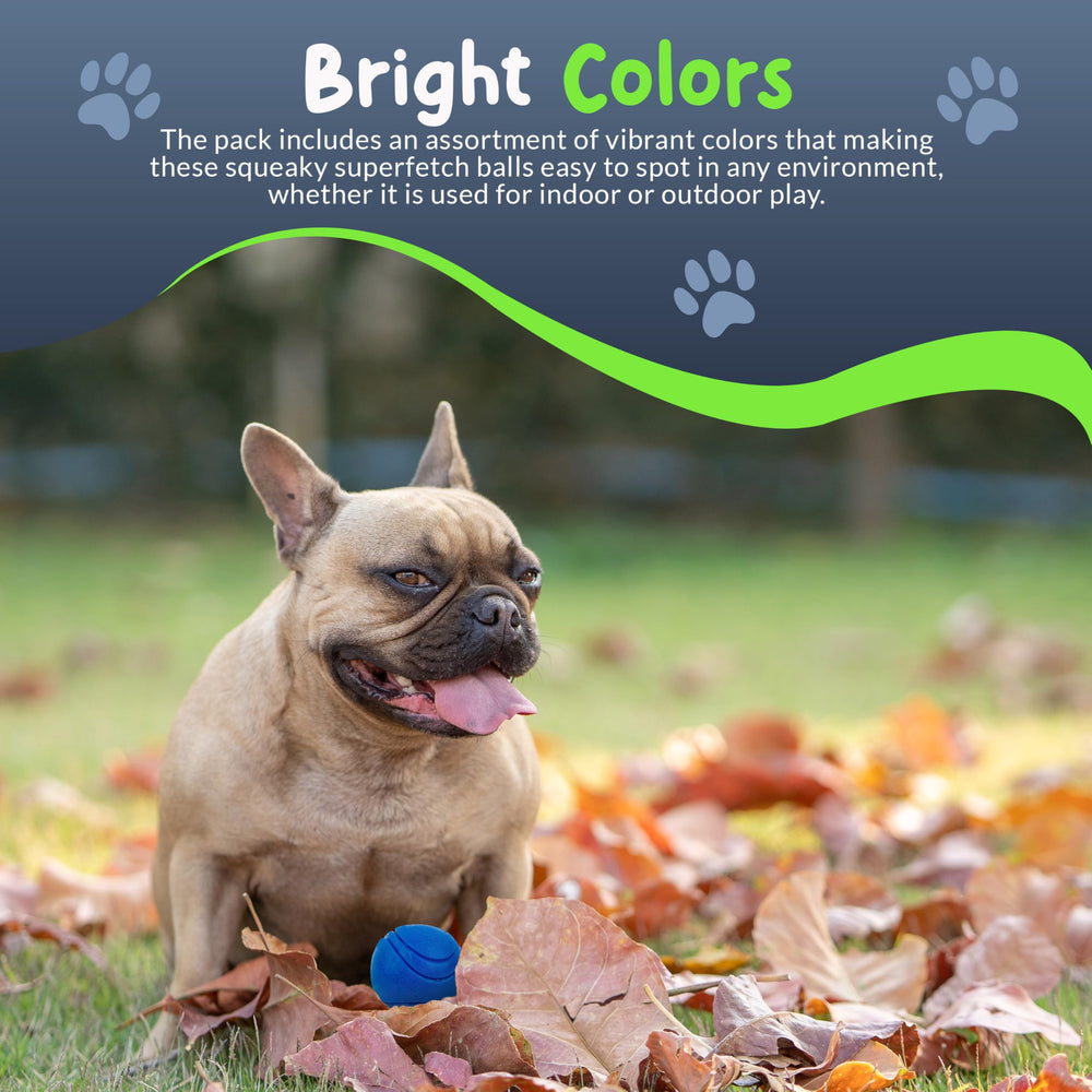 Petite Paws assortiment de couleurs vives, choix attractif