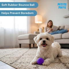 Petite Paws gros plan sur texture de la balle pour une prise en bouche sûre