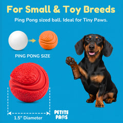 Petite Paws comparaison taille dans une main pour évaluer l’adaptation aux petits chiens
