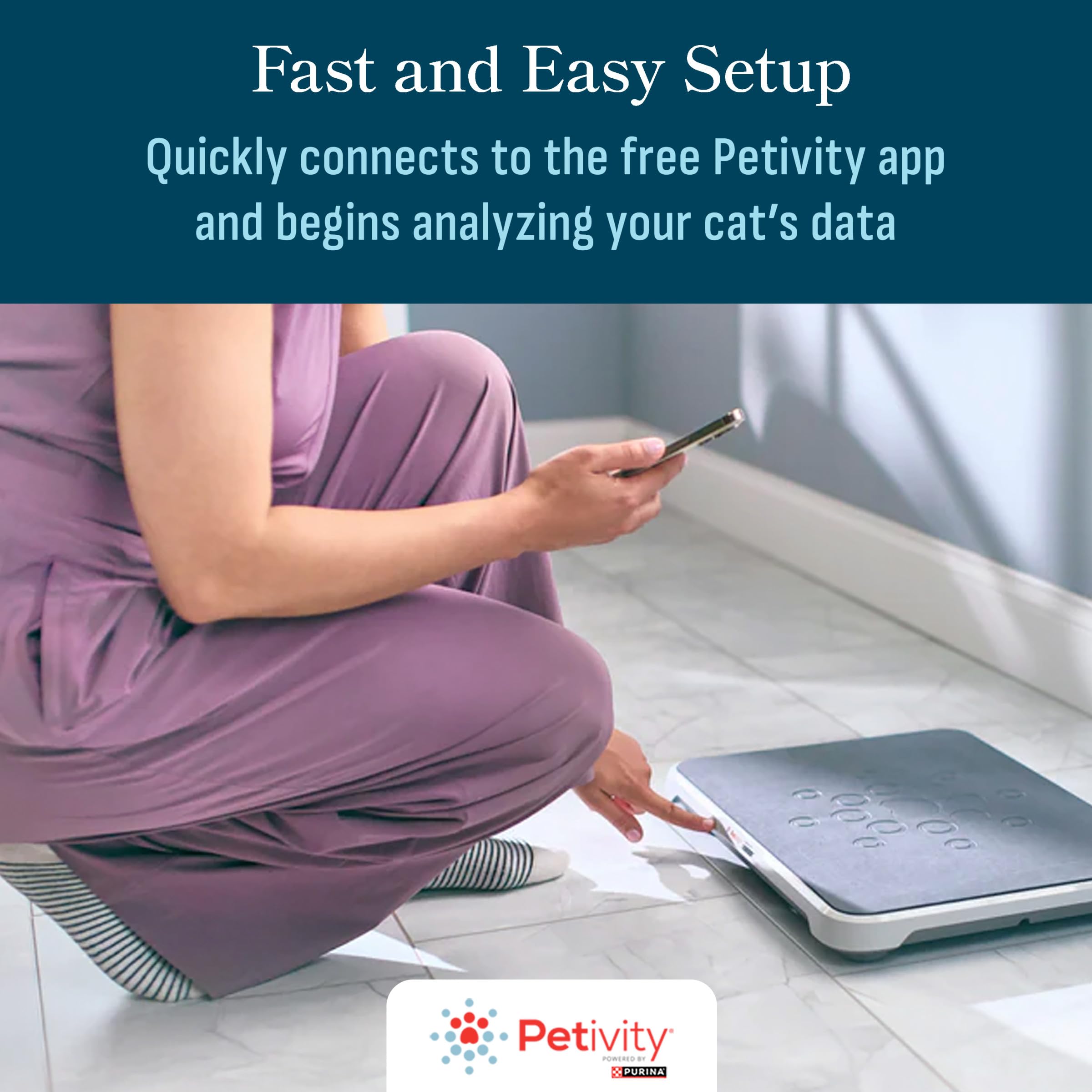 petivity dans un foyer multi‑chats illustrant suivi individuel sans collier