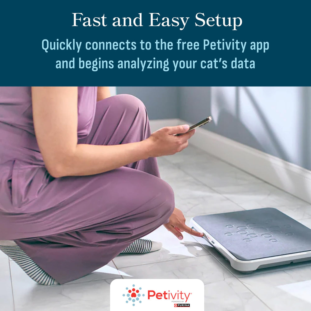 petivity dans un foyer multi‑chats illustrant suivi individuel sans collier