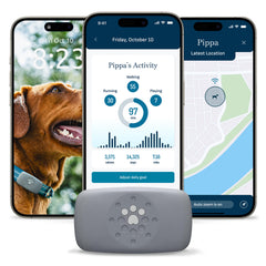 Petivity Purina face avant du traceur montrant design compact et localisation rapide