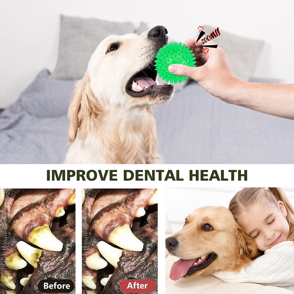 petizer chien tenant balle montrant taille et praticité en main