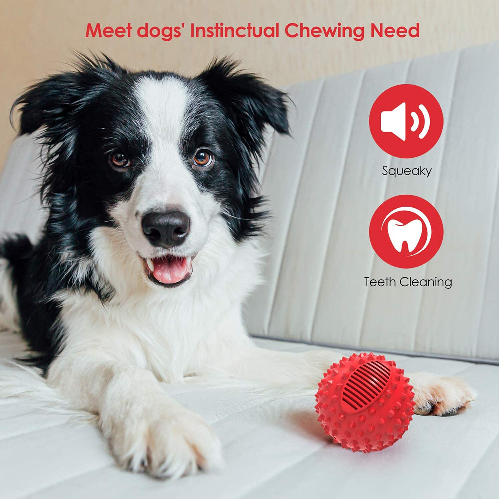 petizer détail du sifflet intégré qui stimule le jeu du chien