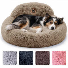 Pet Jett lit panoramique face montrant confort et design apaisant