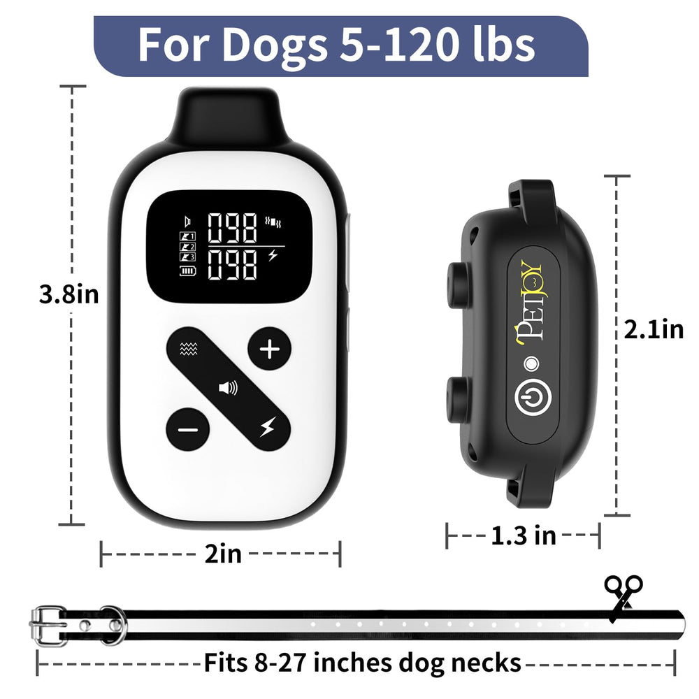 PetJoy collier immergé partiellement illustrant la résistance IPX7 à l'eau