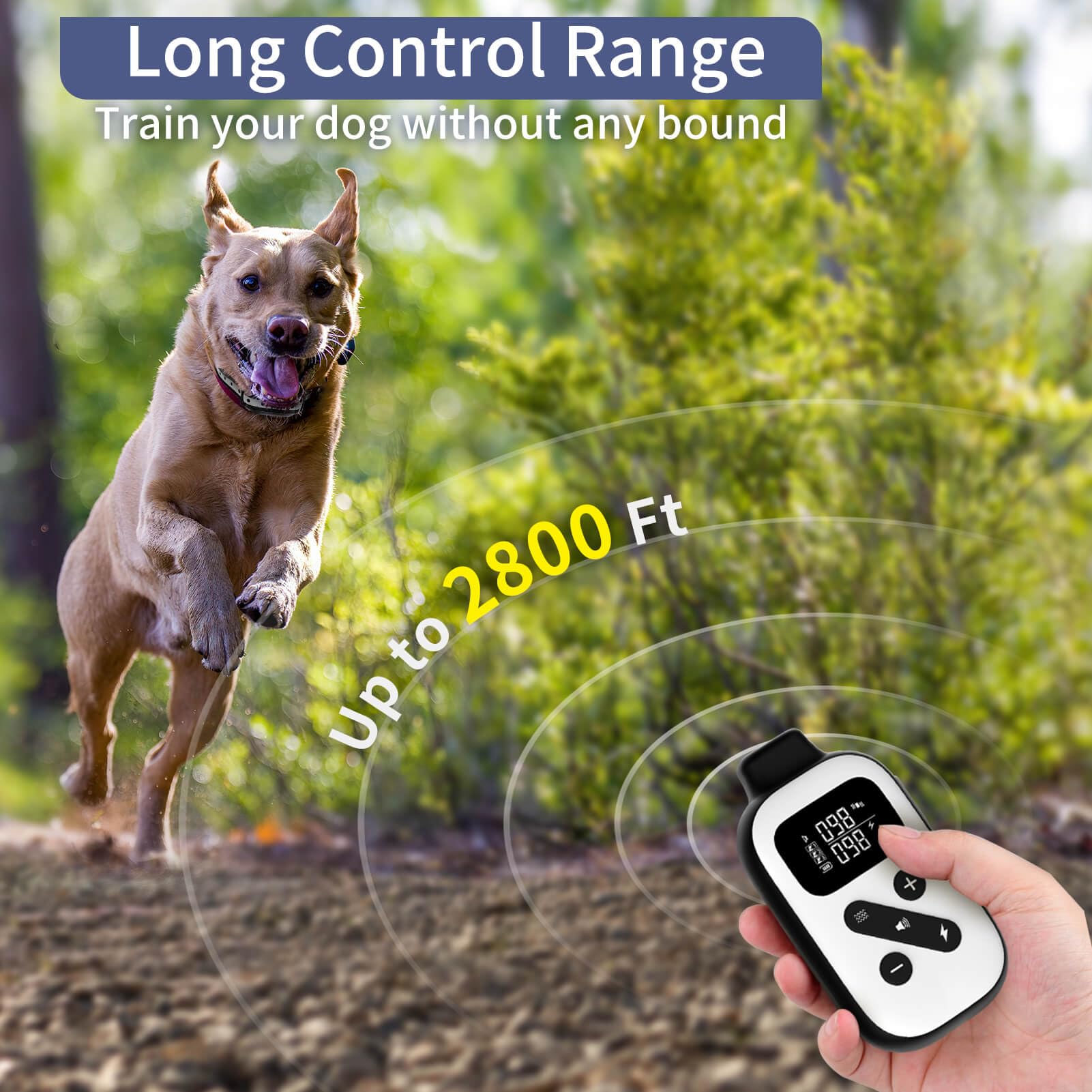 PetJoy câbles et ports de charge doubles, pour recharger récepteur et télécommande simultanément