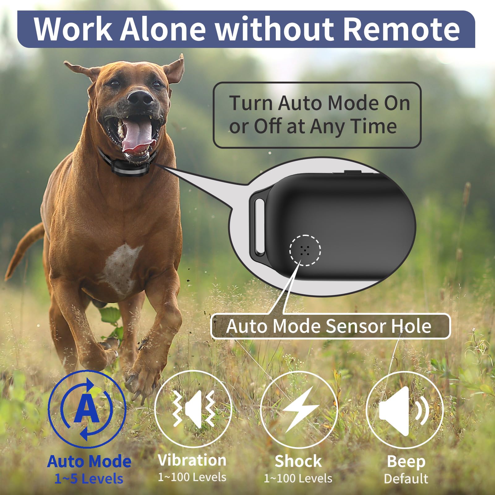 PetJoy télécommande en main montrant les boutons faciles à utiliser