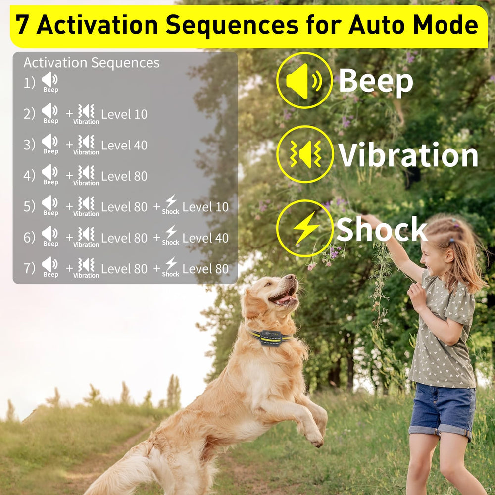 PetJoy télécommande montrée en main, contrôle clair et portée longue pour liberté