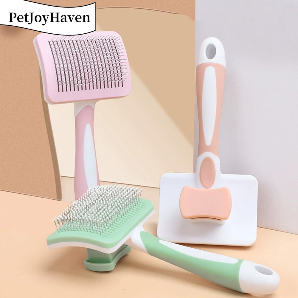 PetJoyHaven brosse dans salon mettant en valeur toilettage quotidien