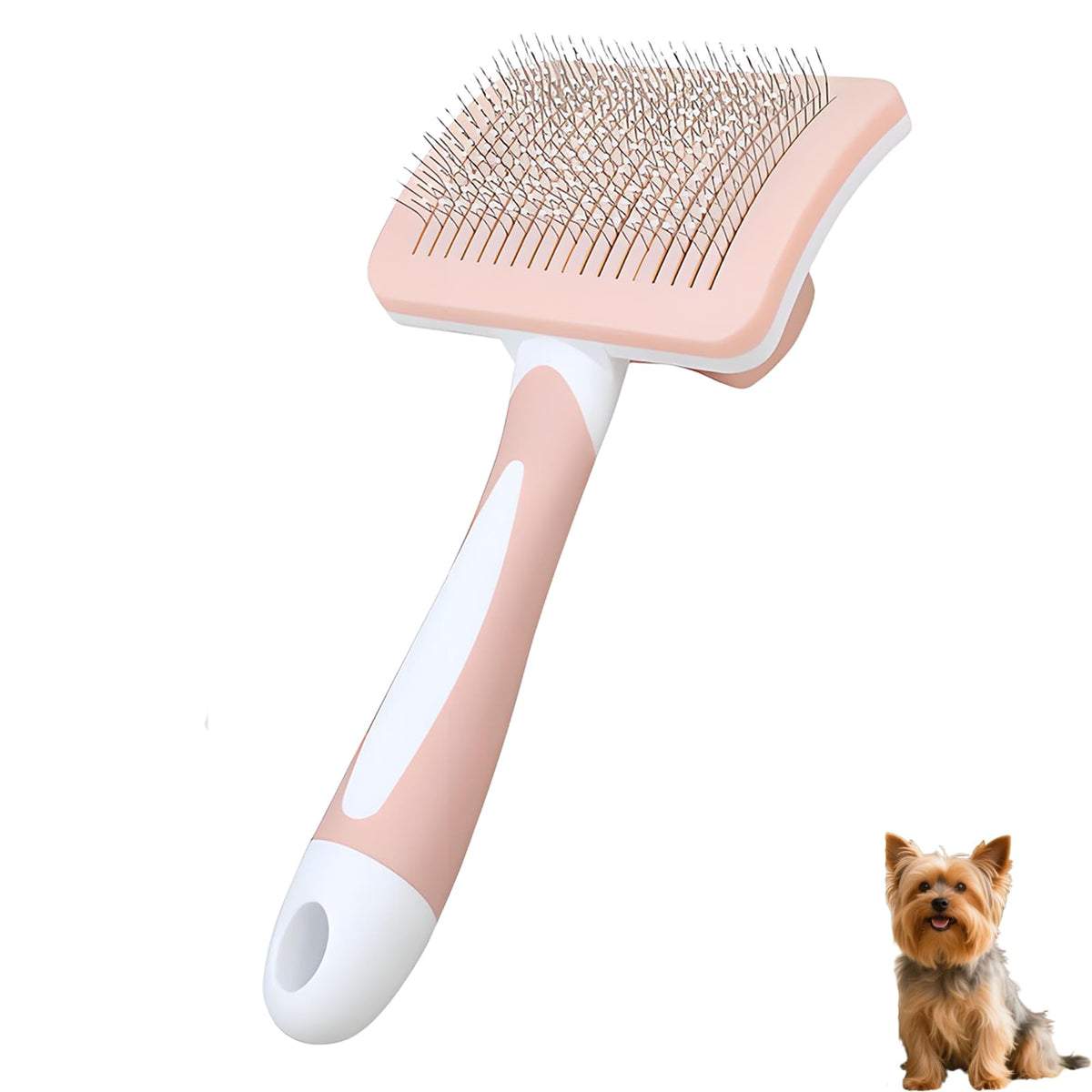 PetJoyHaven brosse face avant montrant tête compacte et confort