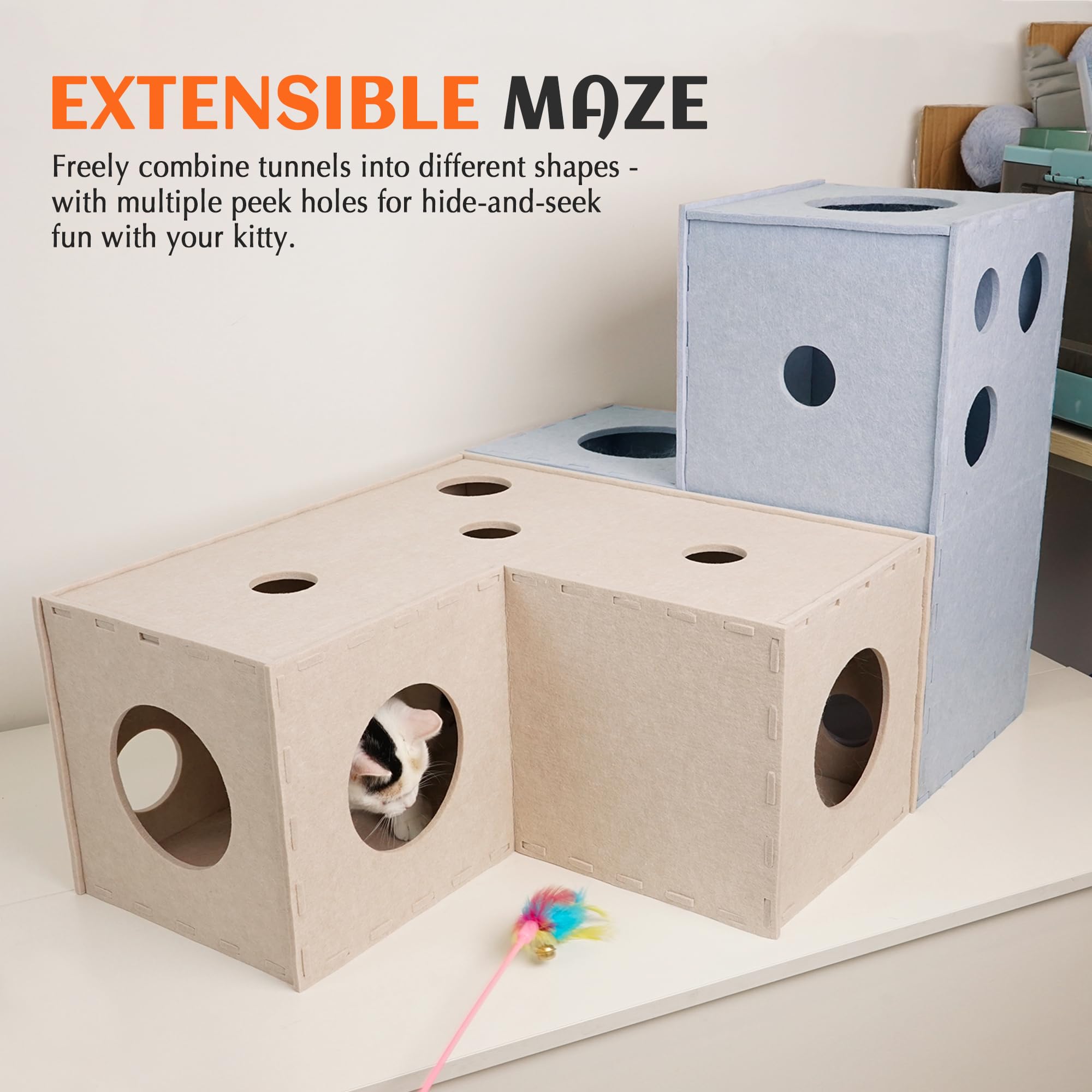PETKARAY chat joue dans tunnel, interaction ludique et exercice