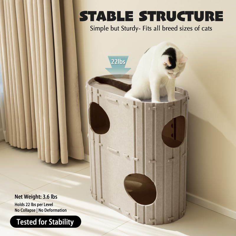 PETKARAY comparaison de taille avec chat pour repères d'échelle