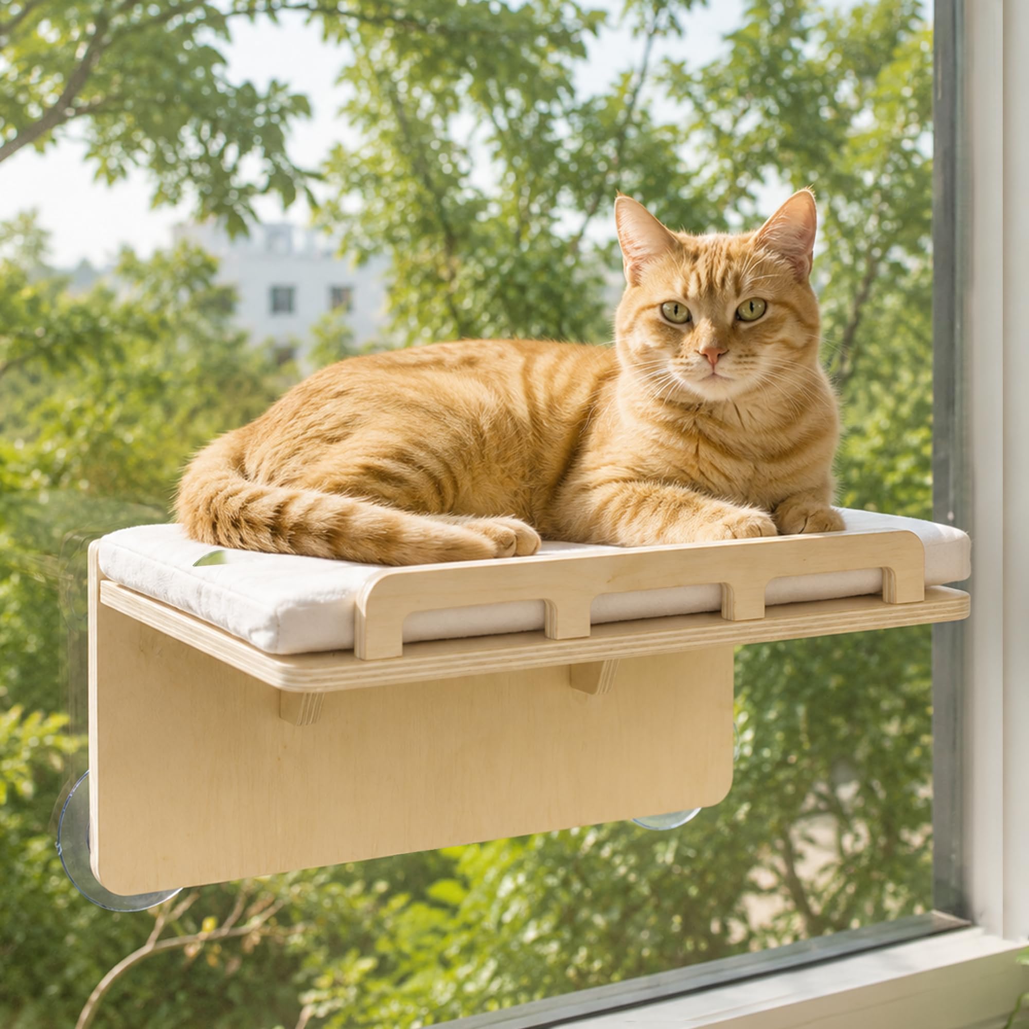 PETKARAY étagère devant fenêtre montrant plateau bois et style mobilier
