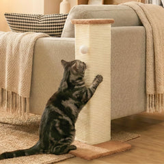 PETKARAY griffoir d'angle face avant montrant forme compacte et protection