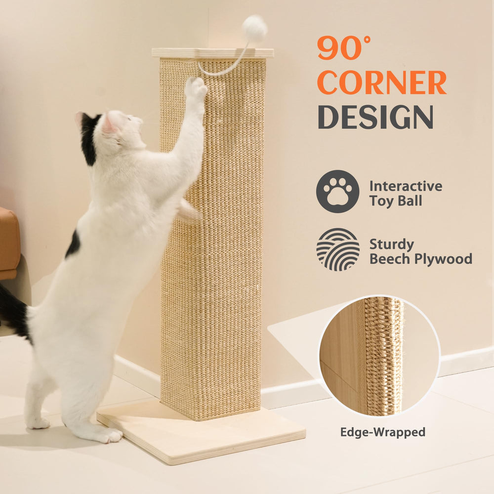 PETKARAY balle jouet attachée stimule le jeu du chat