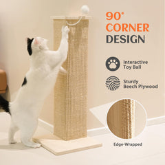 PETKARAY balle jouet attachée stimule le jeu du chat