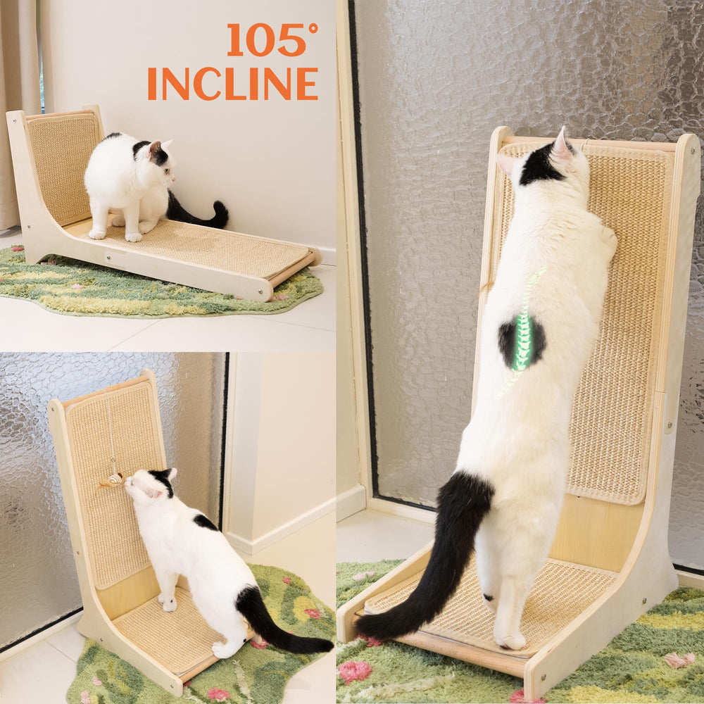 PETKARAY griffoir avec comparaison taille montrant échelle pour chat