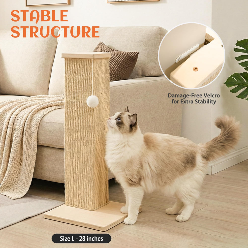PETKARAY comparaison taille montre hauteur adaptée aux chats
