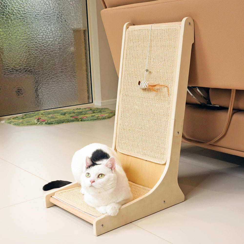 PETKARAY installation murale sécurisée minimisant dégâts sur mobilier
