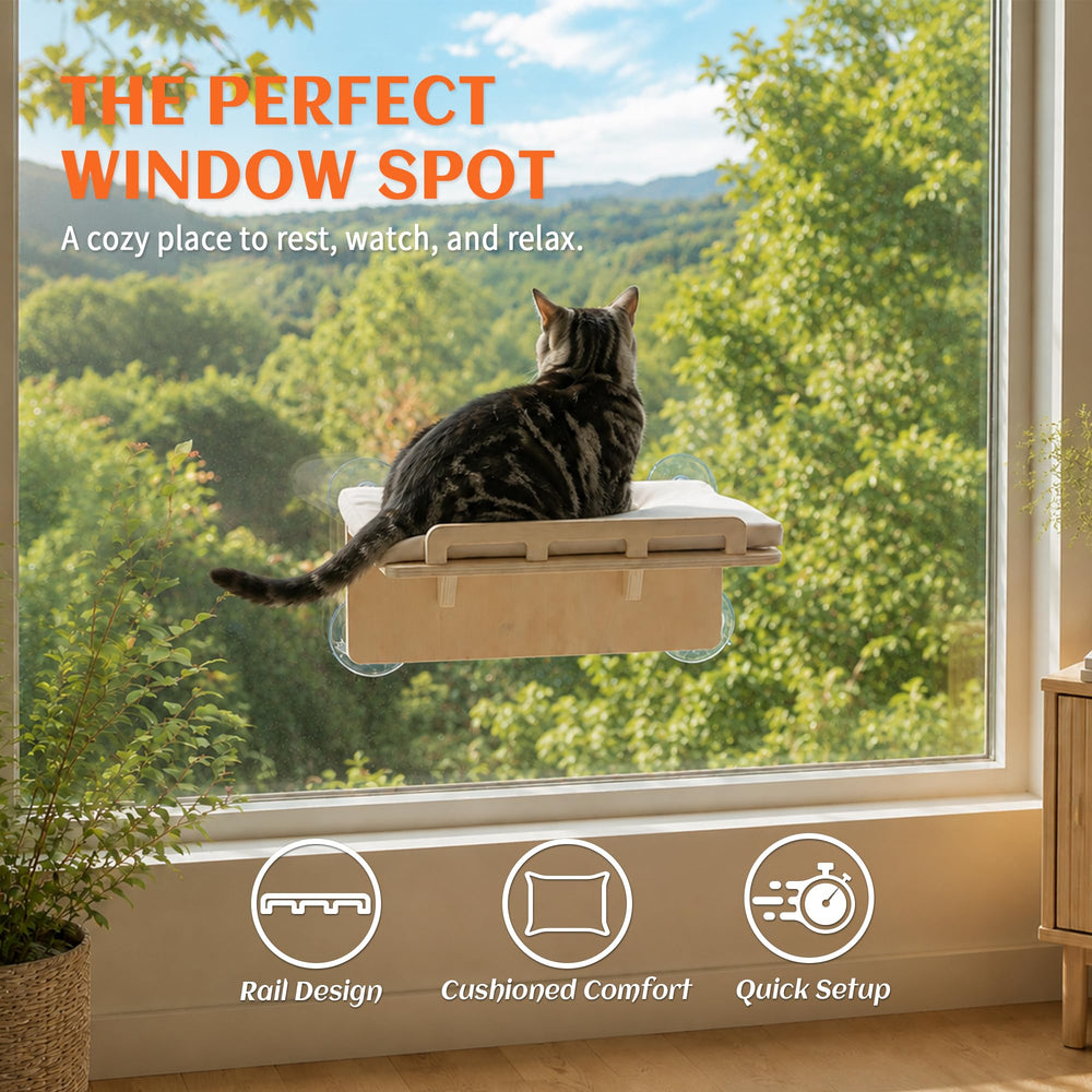 PETKARAY gros plan du rebord avant offrant appui confortable au chat