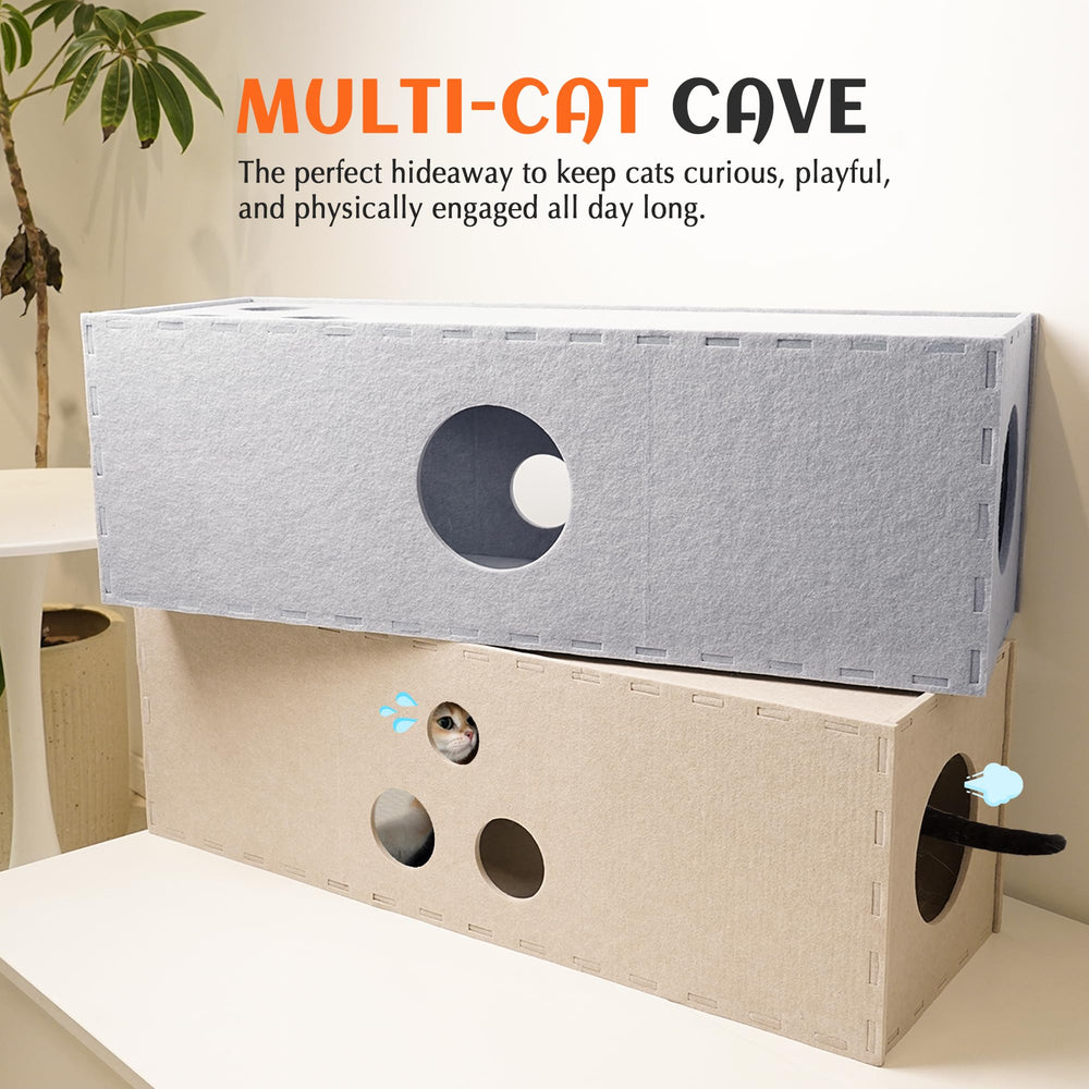PETKARAY ouverture de regard interactive pour observation et jeu
