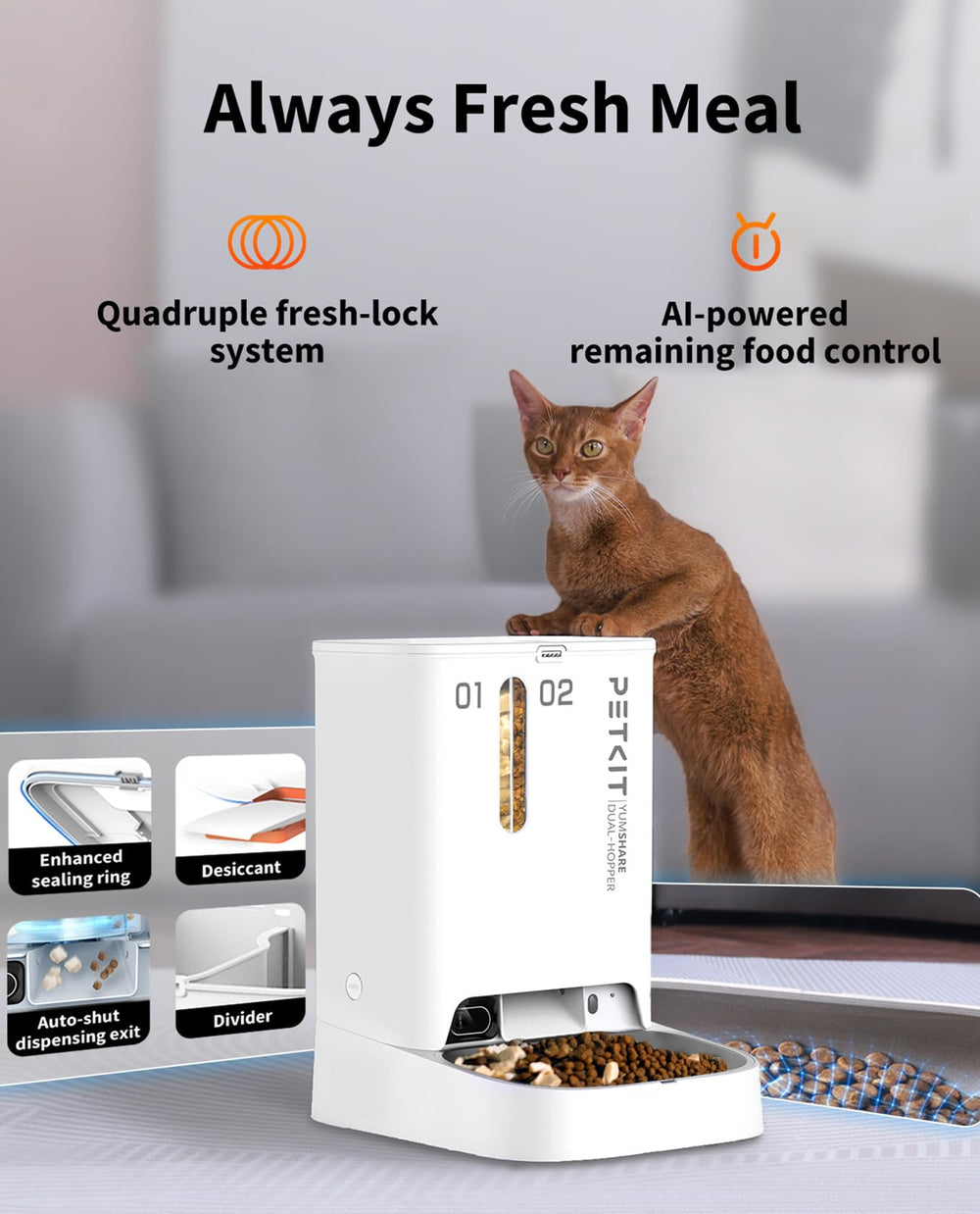 PETKIT application mobile montrant commandes et planification pratique