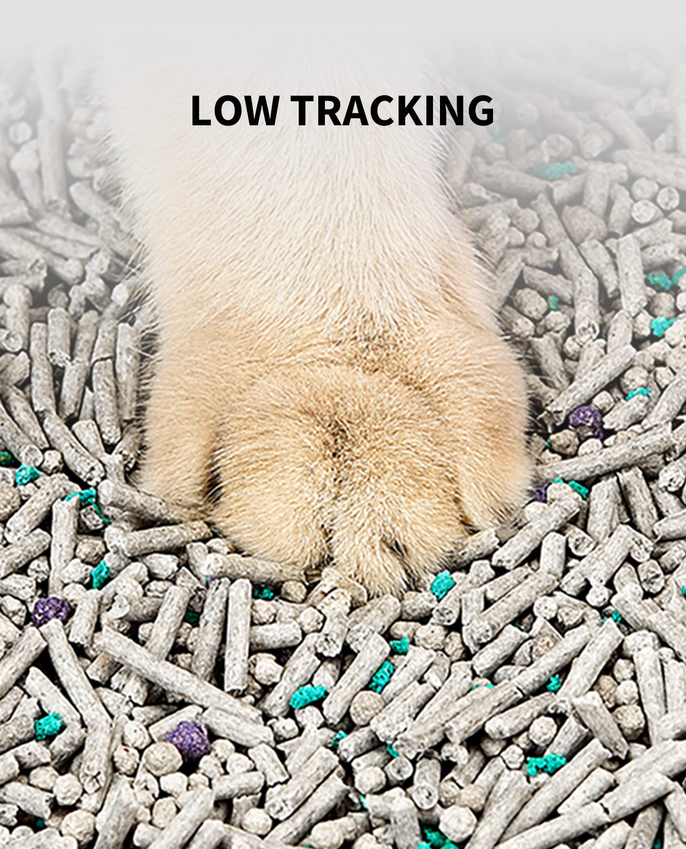 PETKIT comparaison à la main montrant taille des granulés et facilité d'usage