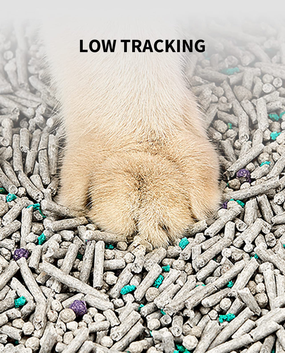 PETKIT comparaison à la main montrant taille des granulés et facilité d'usage