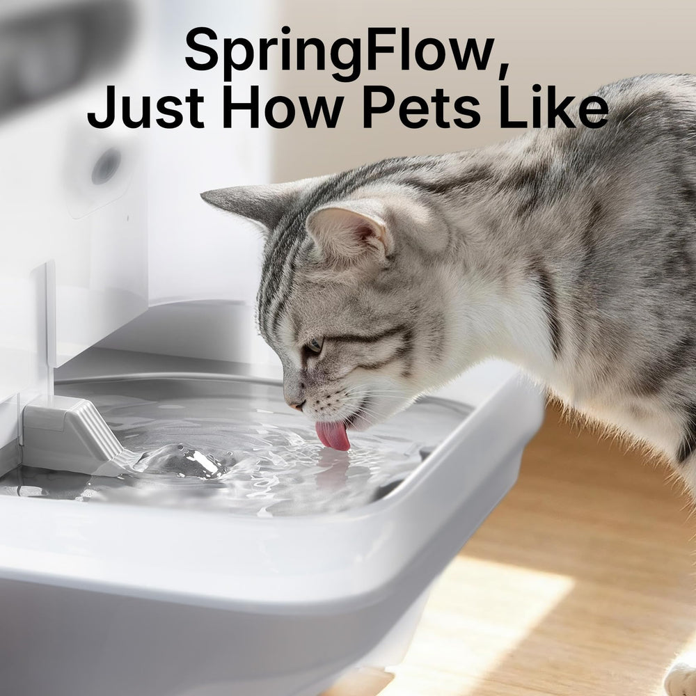 PETKIT chat buvant à la fontaine encourageant hydratation grâce au flux activé