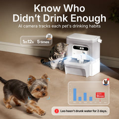 PETKIT vue supérieure du réservoir 5L montrant capacité et ouverture pratique