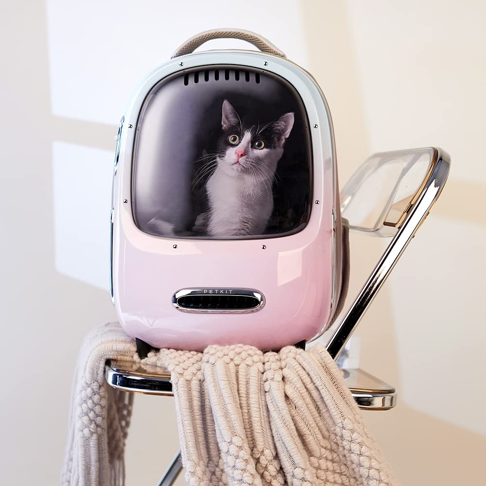 PETKIT sac porté en ville illustrant style, praticité et confort