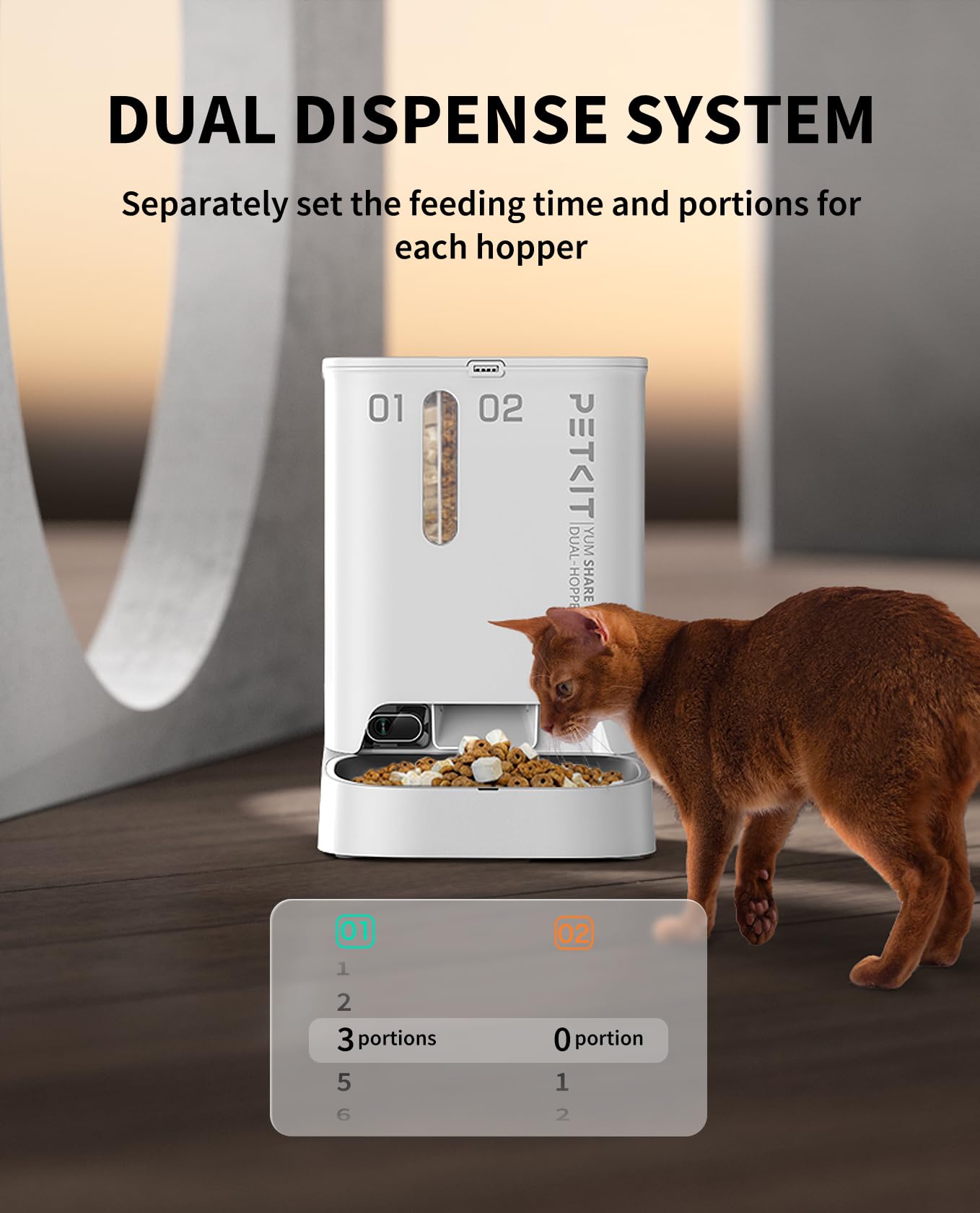 PETKIT vision nocturne sur écran affichant surveillance efficace la nuit