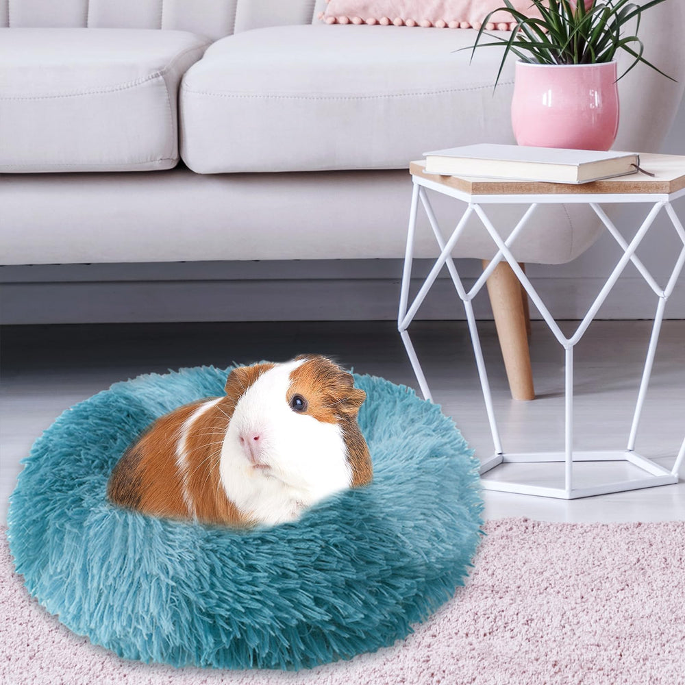 PETKNOWS comparaison taille avec main pour évaluer l'espace