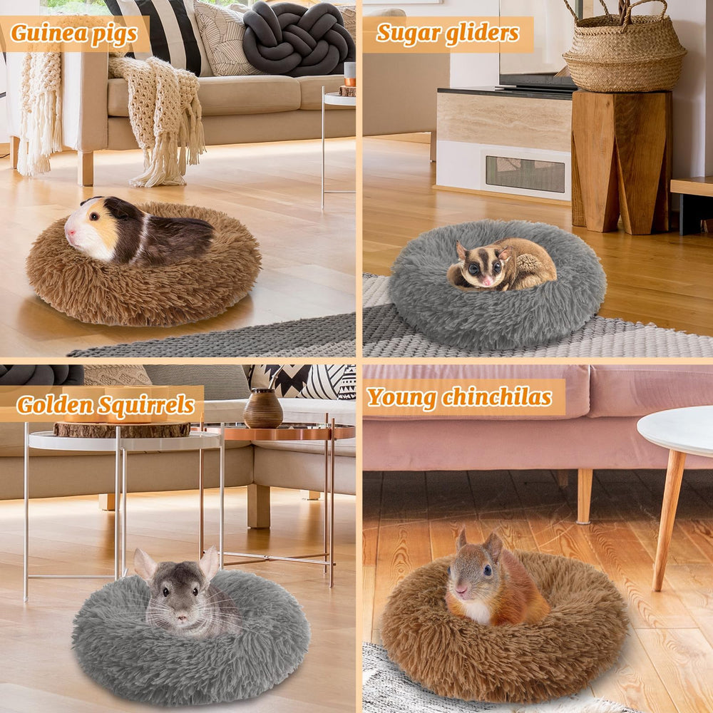 PETKNOWS scène lifestyle animal reposant sur le lit montrant confort et calme