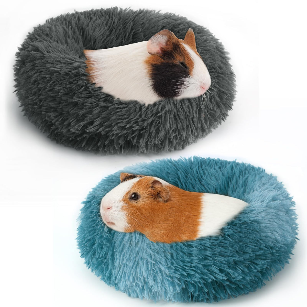 PETKNOWS lit devant montrant l'entrée chaude et confortable