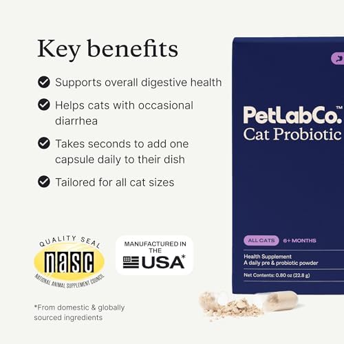 Chat mangeant de la gamelle mélangée avec PetLab Co, digestion facilitée
