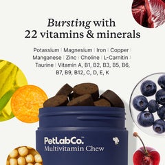 PetLab Co chew en main pour visualiser la taille et facilité d'administration