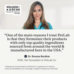 PetLab Co. détail du flacon et du bec verseur pour une application précise
