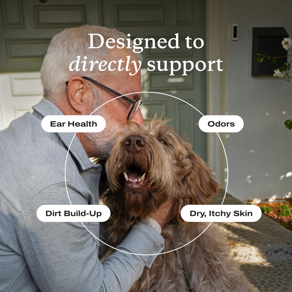 PetLab Co. application dans oreille de chien pour confort et hygiène