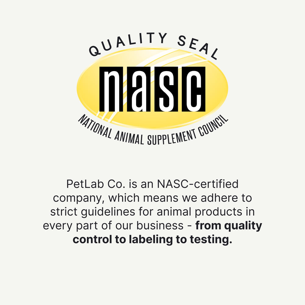 PetLab Co comprimé mou vu de près montrant la texture agréable et appétente