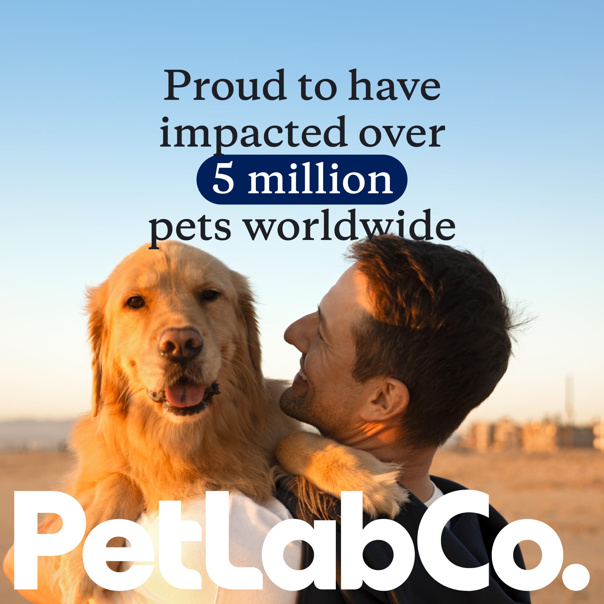 PetLab Co. chien heureux en intérieur dégustant chew, bénéfice bien‑être cutané