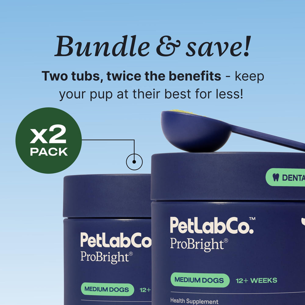 Comparaison d’échelle montrant la taille du pot PetLab Co. pour estimation