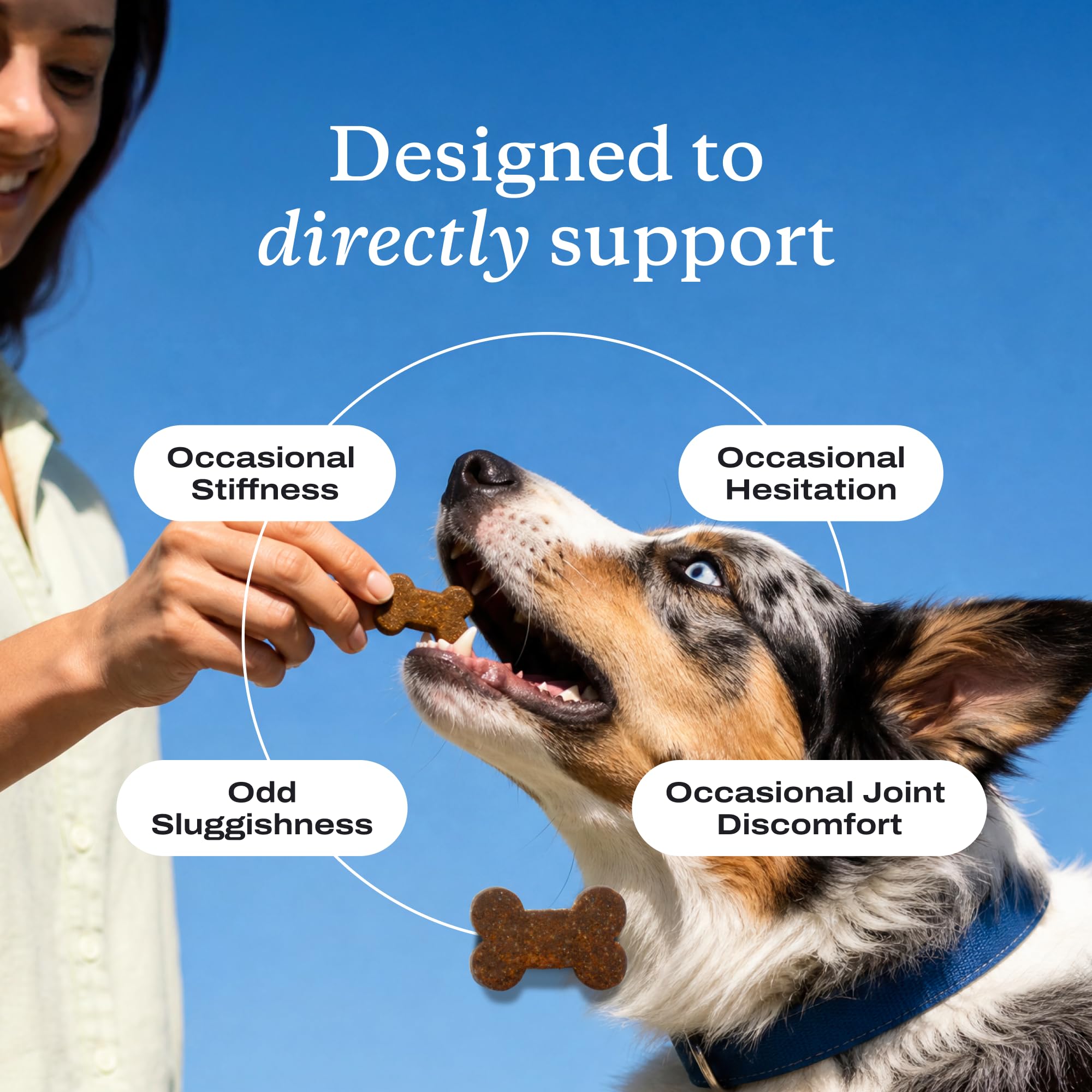 PetLab Co. chien adulte actif en extérieur bénéficiant de meilleure mobilité