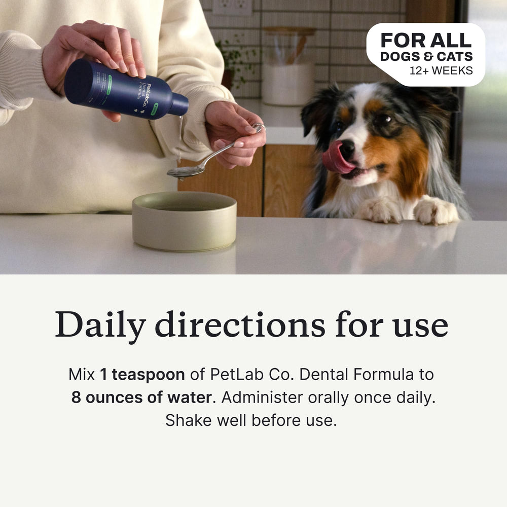 PetLab Co. chien ou chat buvant l'eau traitée, confort et acceptation