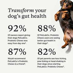 PetLab Co. gros plan texture bouchée molle facile à mâcher et appétente