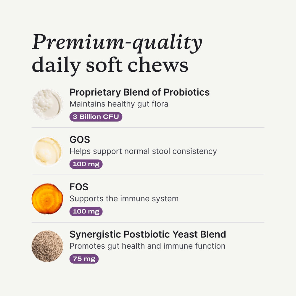 PetLab Co. chien acceptant le mastiquable en salon, favorise compliance