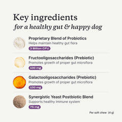 PetLab Co chien prenant la friandise à la main, facilite l'administration