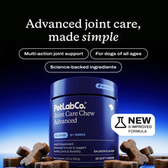PetLab Co. chiot acceptant une friandise pour un soutien articulaire quotidien