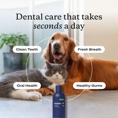 PetLab Co. étiquette en gros plan montrant informations et facilité d'usage